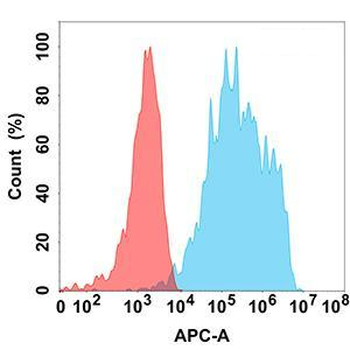 IL18RA Antibody