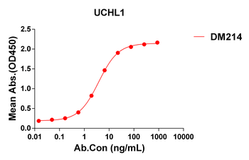 UCHL1 Antibody