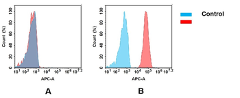 Anti-CD47 antibody(DM212); Rabbit mAb