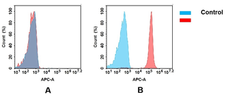 Anti-CD47 antibody(DM212); Rabbit mAb