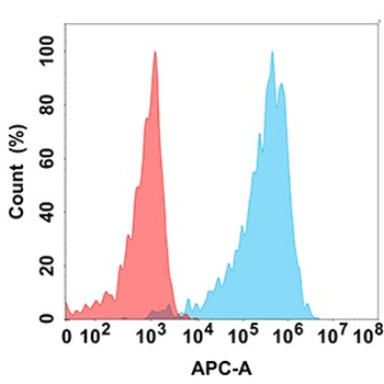 CD43 Antibody