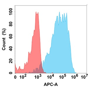 NRG1 Antibody