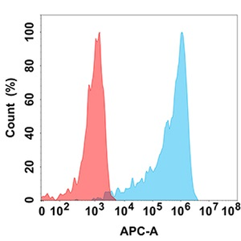 IL15RA Antibody