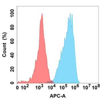 CD73 Antibody