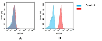 Anti-CD112 antibody(DMC224); IgG1 Chimeric mAb