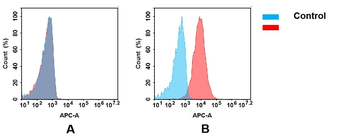 Anti-TREM2 antibody(DMC223); IgG1 Chimeric mAb