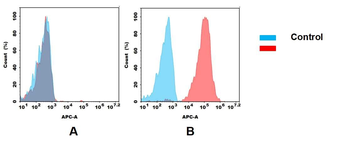 Anti-CD24 antibody(DMC213); IgG1 Chimeric mAb