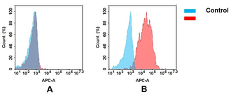Anti-CD142(tisotumab biosimilar) mAb