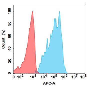 Anti-CCR8(BMS 986340) mAb