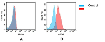 Anti-B7-H5(onvatilimab biosimilar) mAb