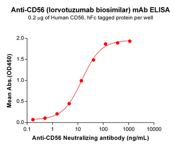 Anti-CD56(lorvotuzumab biosimilar) mAb