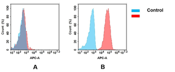 Anti-CXCR4(ulocuplumab biosimilar) mAb