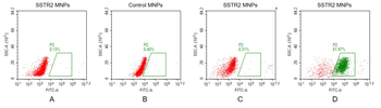Human SSTR2 full length protein-MNP