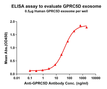 Human GPRC5D full length protein-exo