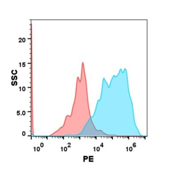 GPRC5D Antibody