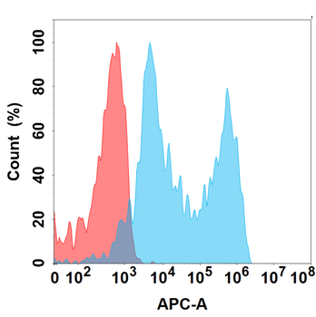 B7-H5 Antibody