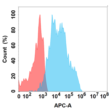 NKG2D Antibody