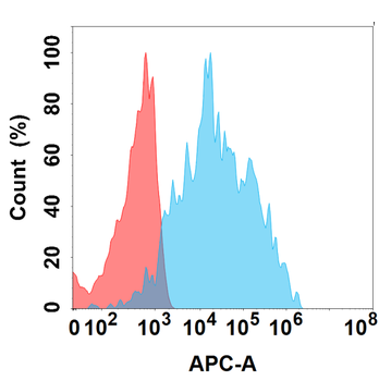 IL4RA Antibody