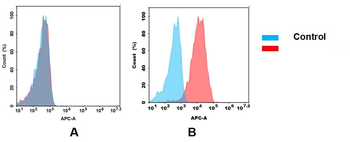 Anti-CD21 antibody(DMC280); IgG1 Chimeric mAb