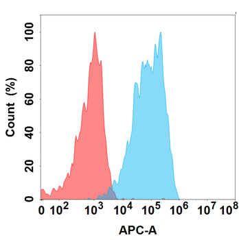 CD44 Antibody