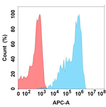 FOLR2 Antibody