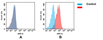 Anti-CLEC2D antibody(DMC394); IgG1 Chimeric mAb