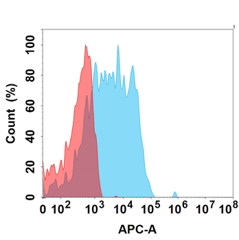 Human pro-BDNF Protein