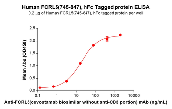 Human IL-16 Protein