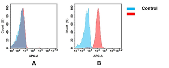 Anti-DDR1 antibody(DMC480); IgG1 Chimeric mAb