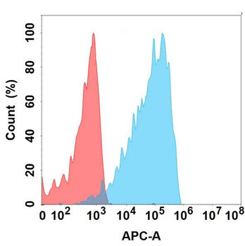 EPHA4 Antibody