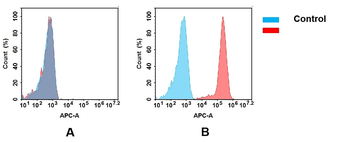 Anti-CCR1 antibody(DMC465); IgG1 Chimeric mAb