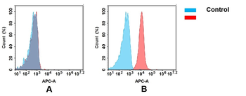 Anti-BST1 antibody(DMC444); IgG1 Chimeric mAb