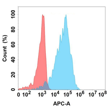 CD5L Antibody