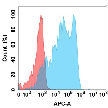 CD62L Antibody