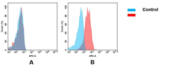 Anti-Nectin4 antibody(DMC438); IgG1 Chimeric mAb