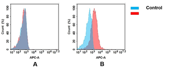 Anti-CD83 antibody(DMC436); IgG1 Chimeric mAb