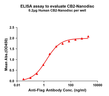 Human CB2 full length protein-synthetic nanodisc