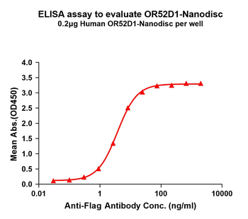 Human OR52D1 full length protein-synthetic nanodisc