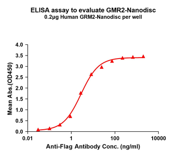 Human GRM2 full length protein-synthetic nanodisc