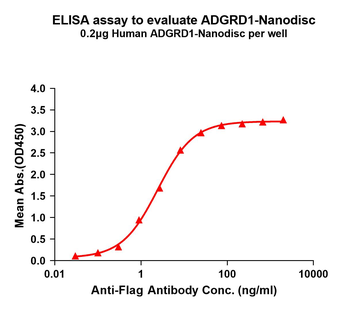 Human ADGRD1 full length protein-synthetic nanodisc