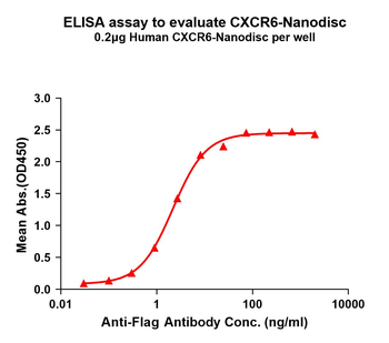 Human CXCR6 full length protein-synthetic nanodisc