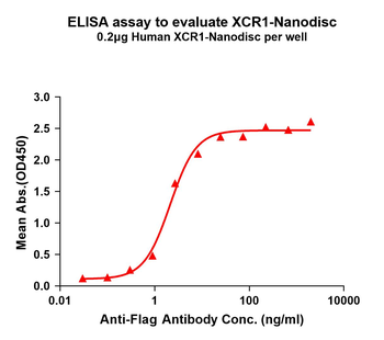 Human XCR1 full length protein-synthetic nanodisc