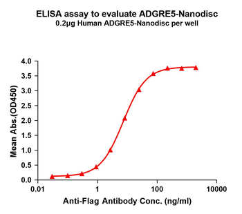 Human ADGRE5 full length protein-synthetic nanodisc