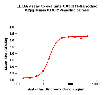Human CX3CR1 full length protein-synthetic nanodisc