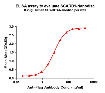 Human SCARB1 full length protein-synthetic nanodisc