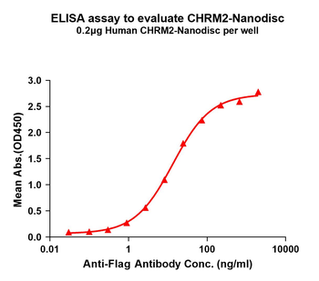 Human CHRM2 full length protein-synthetic nanodisc