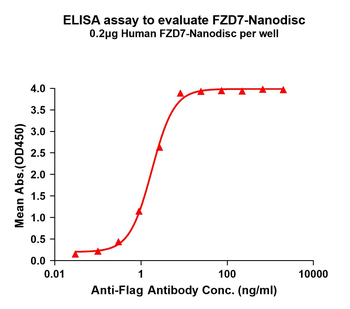 Human FZD7 full length protein-synthetic nanodisc