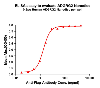 Human ADGRG2 full length protein-synthetic nanodisc