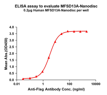 Human MFSD13A full length protein-synthetic nanodisc