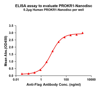 Human PROKR1 full length protein-synthetic nanodisc